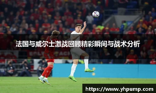 法国与威尔士激战回顾精彩瞬间与战术分析