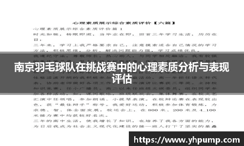 南京羽毛球队在挑战赛中的心理素质分析与表现评估